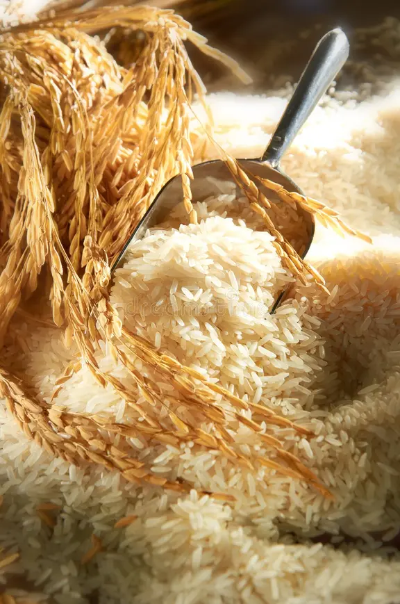 sivaji rice wholeseller in chennai